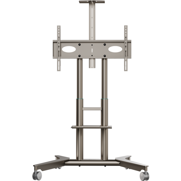 Mobiler TV-Ständer für 32"-75", max. 60 kg, Champagner TS1571